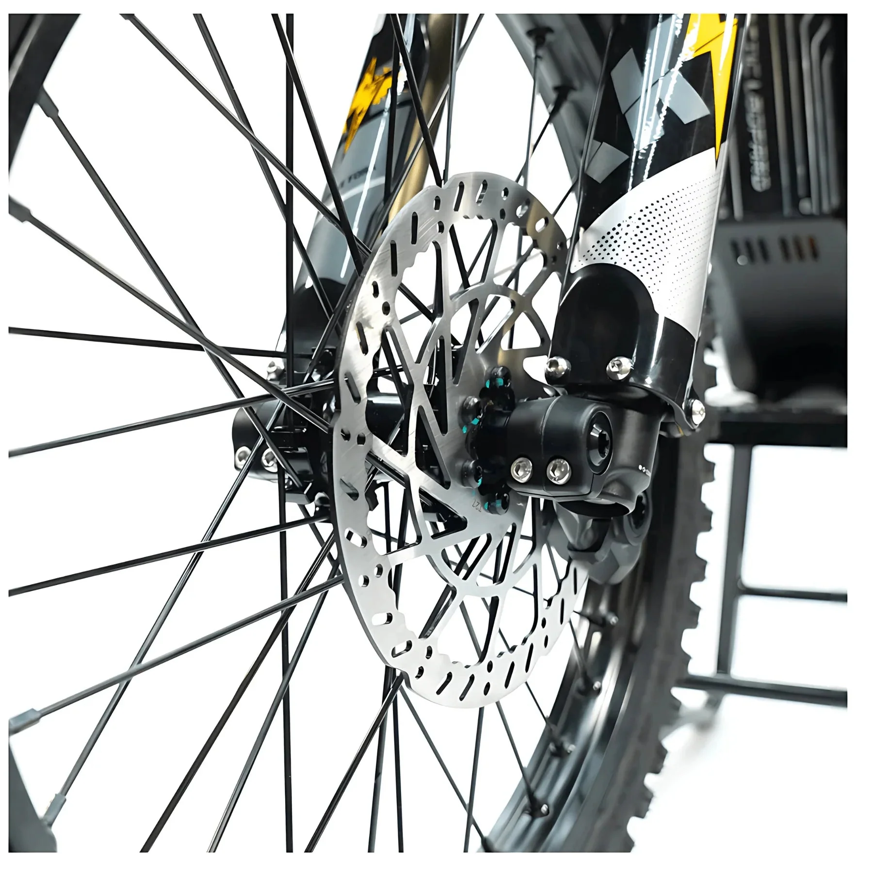 ARCTIC LEOPARD XE PRO S - Image 15